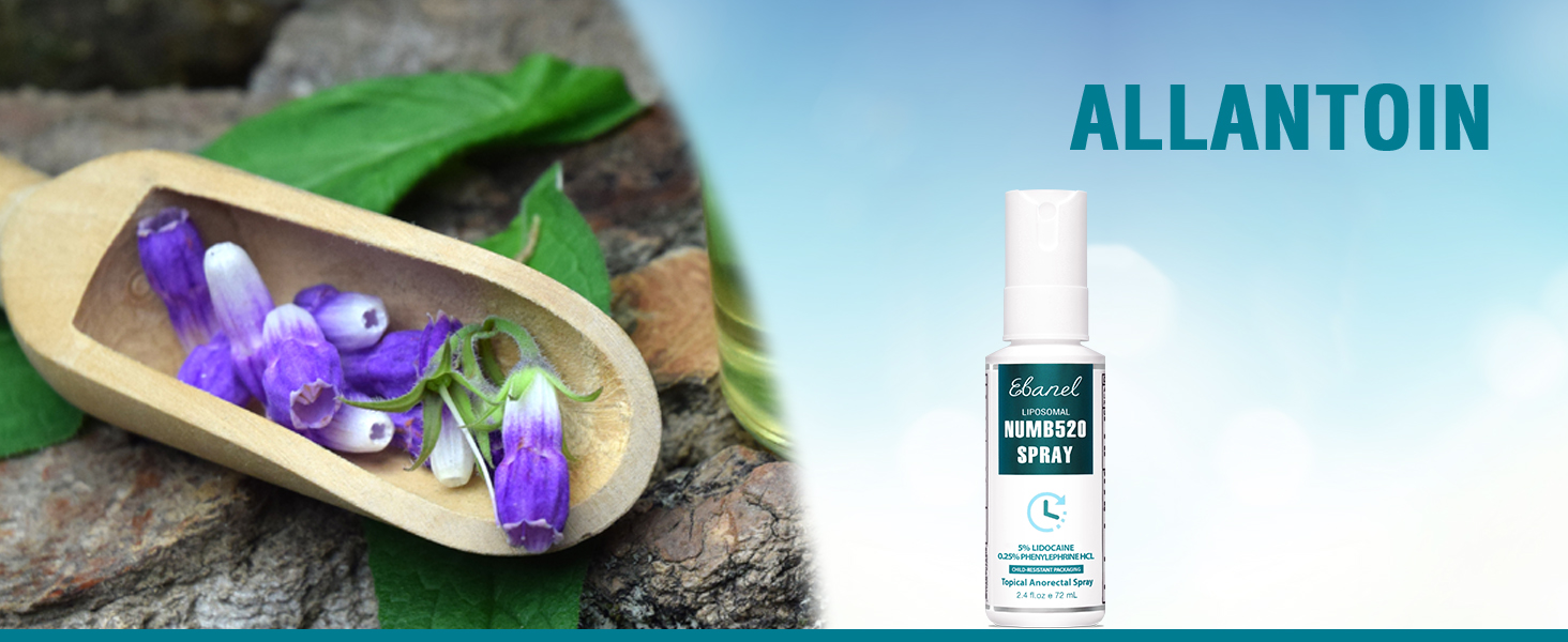 Allantoin Desktop