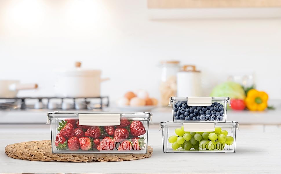 Food Containers for Fridge