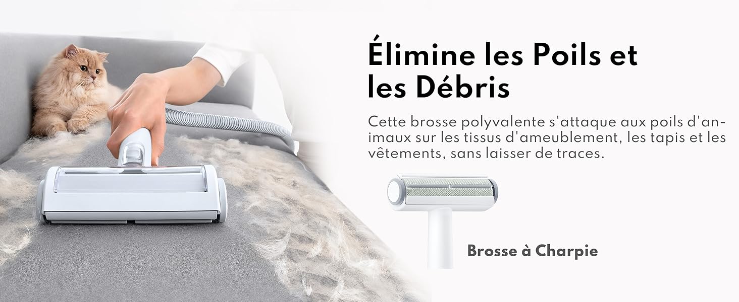 Homerunpet Aspirateur Poil de Chien, Ultrasilencieux & Super Aspirant Kit de Toilettage pour