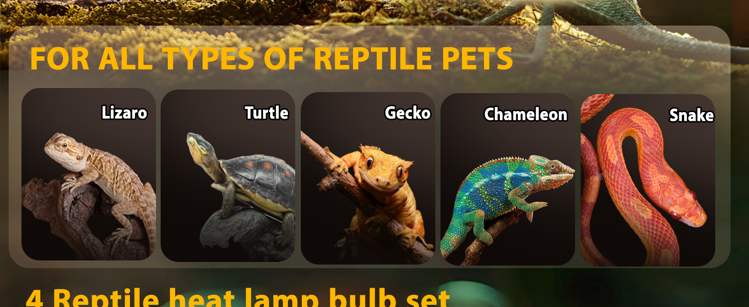 heat lamp reptile heat lamp heat lamp bulbs reptile heat bulb heat bulb heat lamp bulb