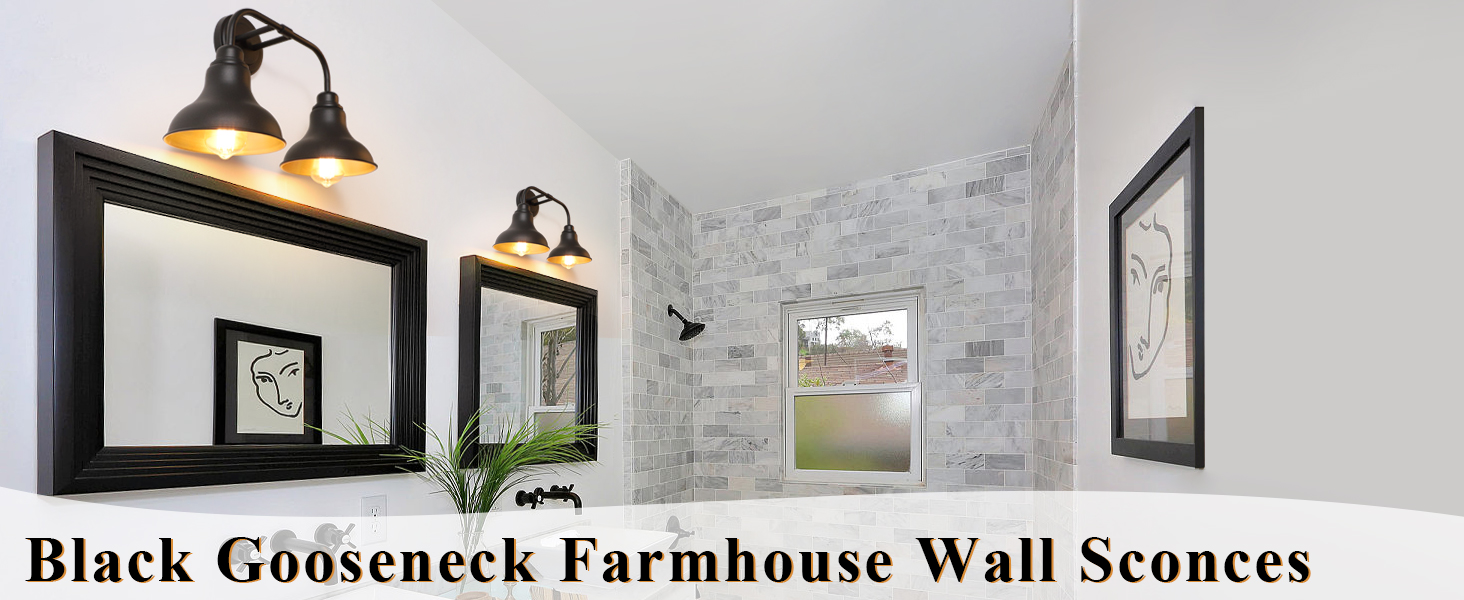 pasentel Matte Black Bathroom Light Fixtures, 2 Light Bathroom Vanity