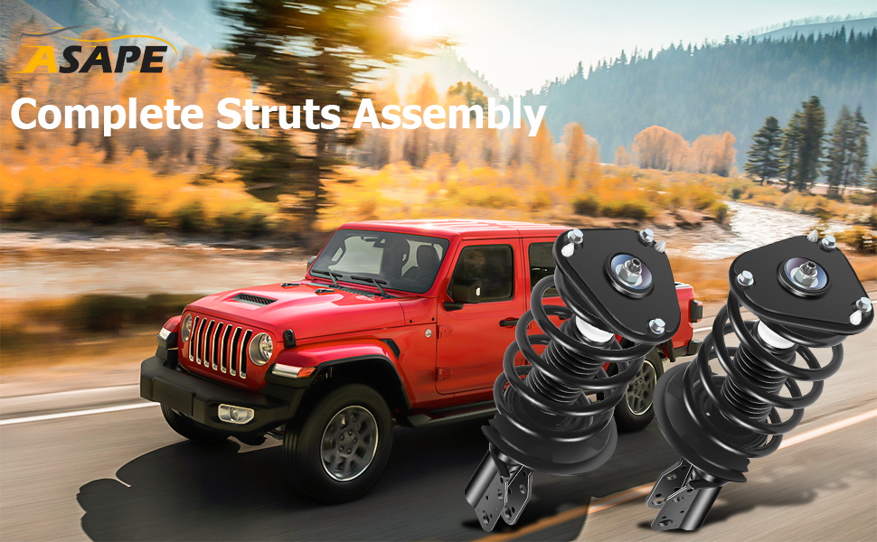 Complete Struts Assembly