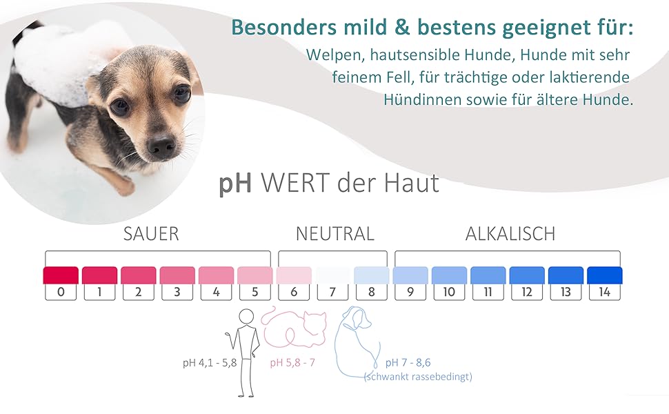 Hautsensibel grereizt trächtig laktierende Hündin Welpen schonend feines Fell Alkalisch Dalmatiner