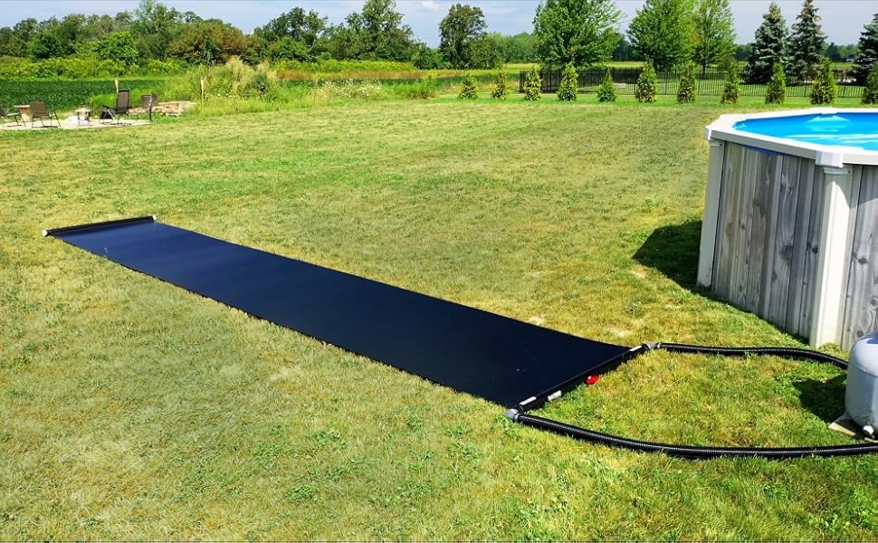 Solar bear on the grass next to a pool