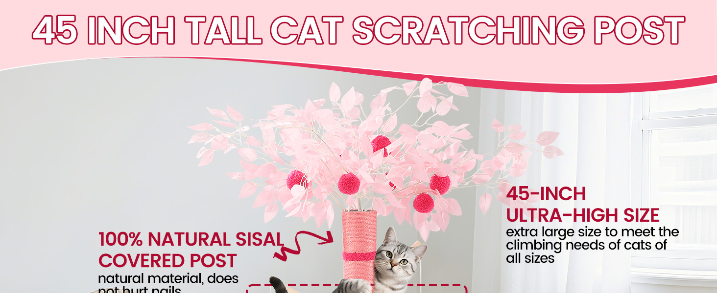 cute cat scratching post