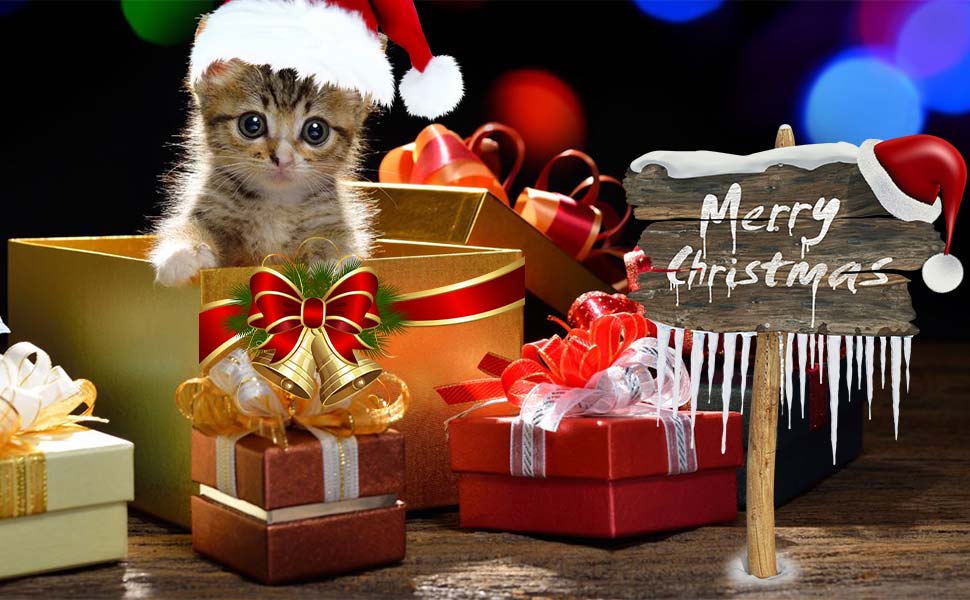 Cat Toys Interactive, Cat Light Toy & Cat Feather Toys 2 in 1, Recharge Cat Exercise Toys for