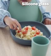 silicone glass