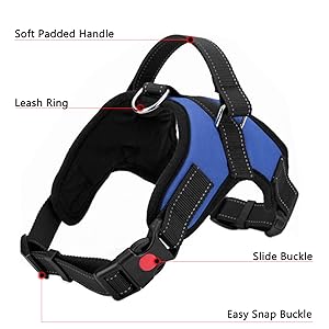 dog harness large