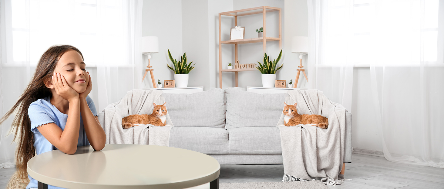 Multper Ventilateur de Table