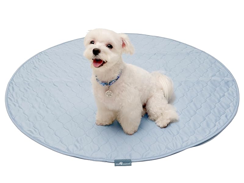 Puppy Training Pads or Pee Pads