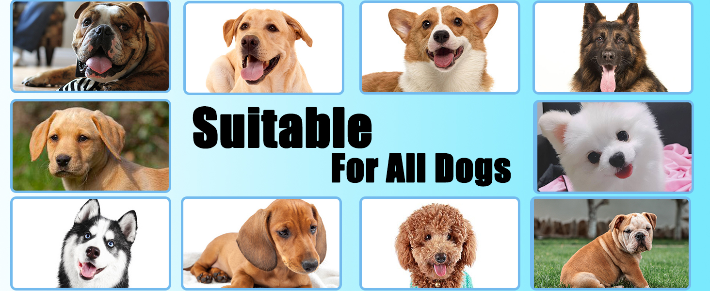 anti licking for dogs