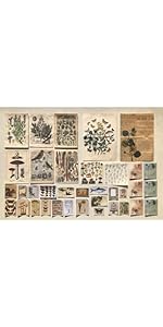 natural journal sticker poster for wall college decor