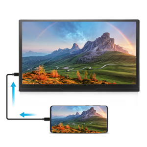 15.6"portable monitor