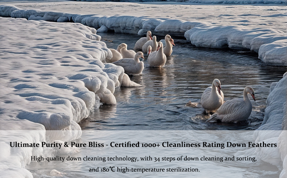 Luxury Down Comforter Full Size All Seasons Down Duvet