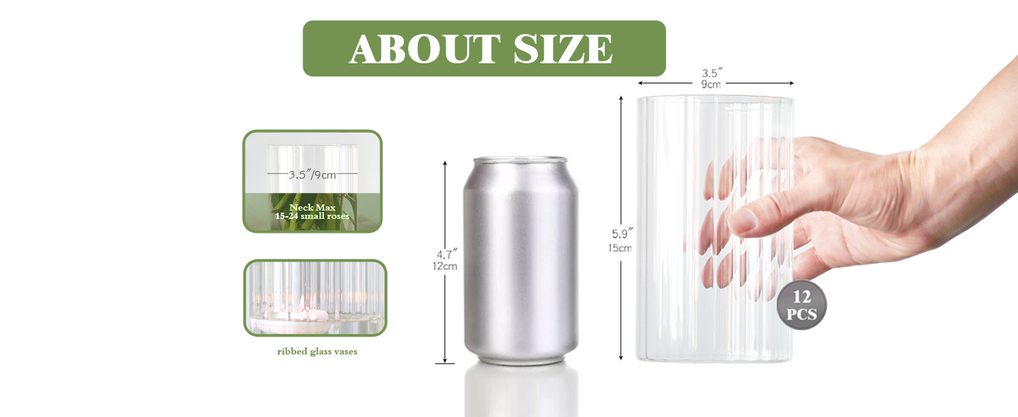 6 Inches Clear Ribbed Bud Vases