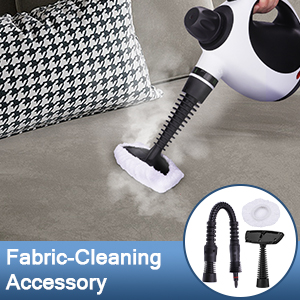 steam cleaner for home