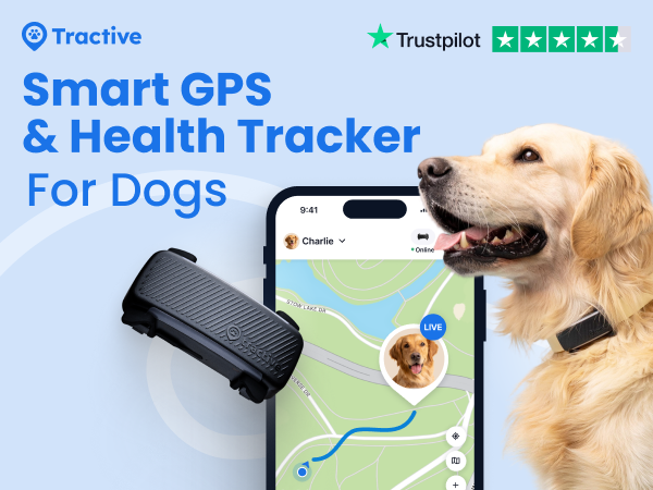 Tractive GPSドッグトラッカー Tractive GPS Pet Tracker for Dogs - Waterproof, GPS Location