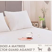 Uses of Mattress Protectors