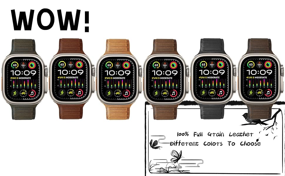 Apple Watch Magnetic Link Band