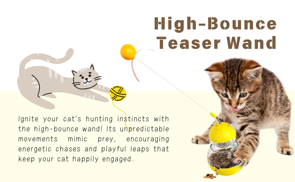 cat food dispenser