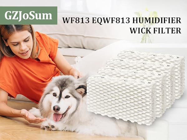 Wf813 Eqwf813 Humidifier Filters
