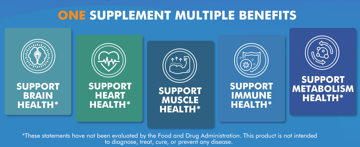 ONE SUPPLEMENT MULTIPLE BENEFITS