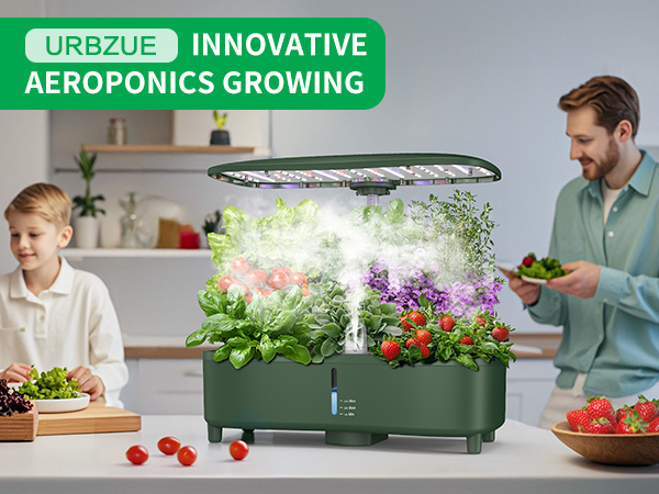 ※まみむー※DAC Plant Delivery まみむー※DAC Plant Delivery まみむー※DAC Plant Delivery まみむー※DAC