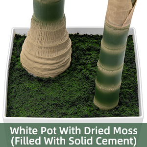 Tall Faux Potted Plant with White Tall Pot and dried moss