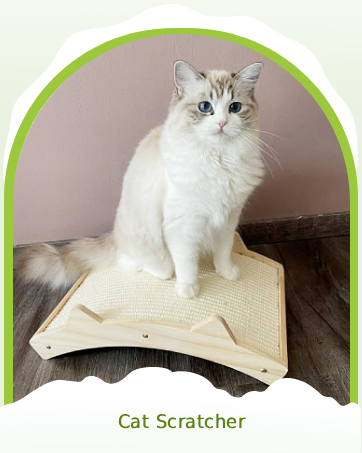 Cat Scratcher