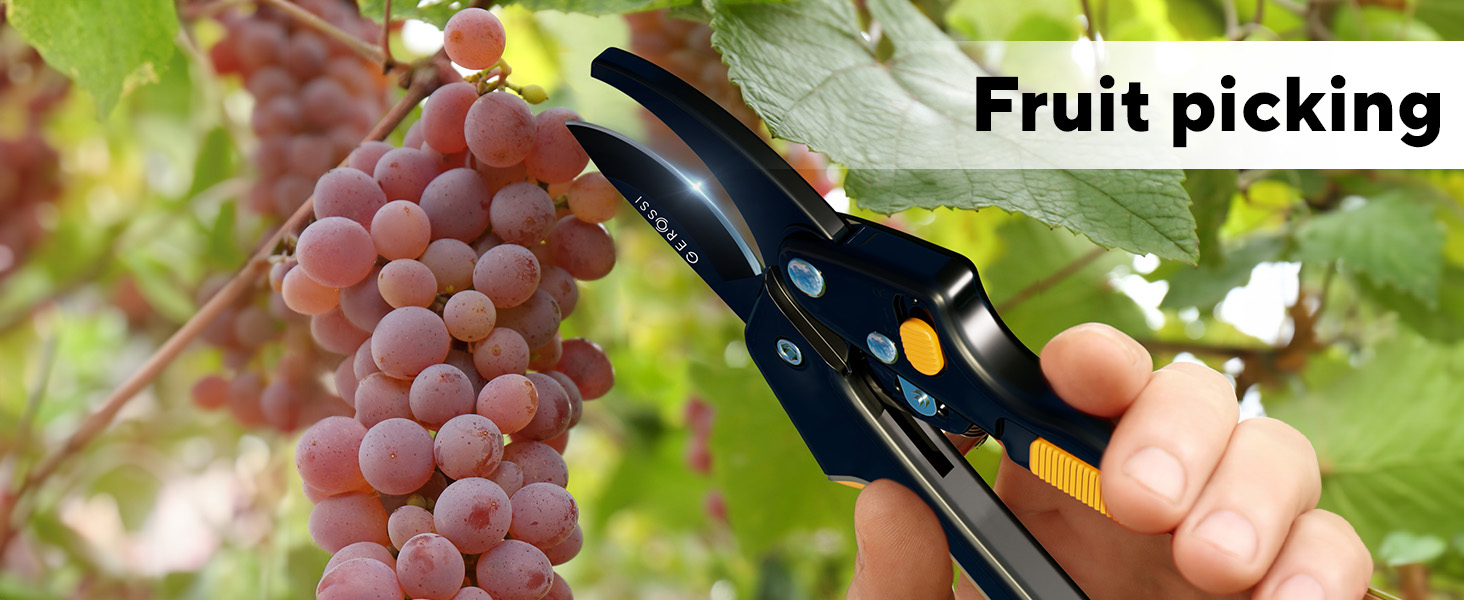 Fruit picking