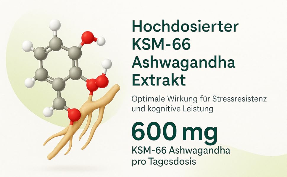Ashwagandha KSM Magnesium Zink Vitamin B6
