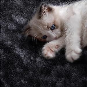 Small manufacture image 8