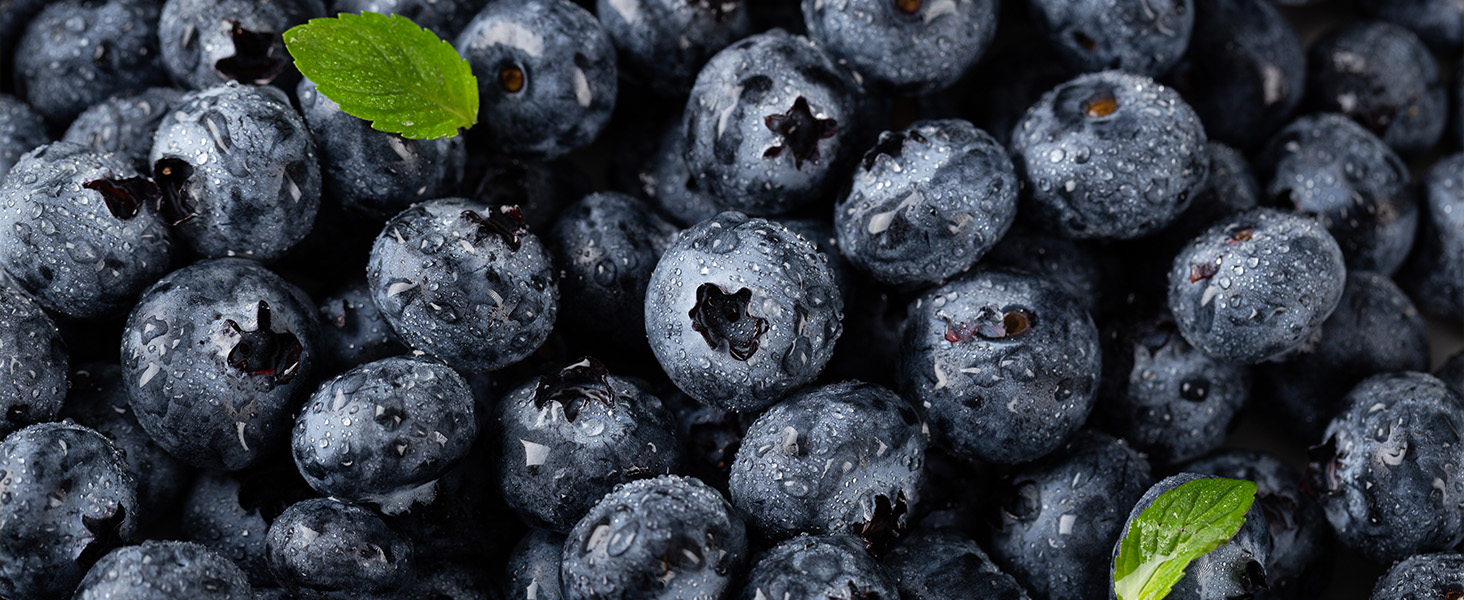INGREDIENT - BLUEBERRIES