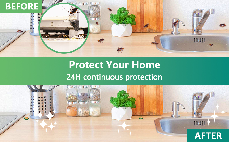 Cockroach Killer for Kitchens