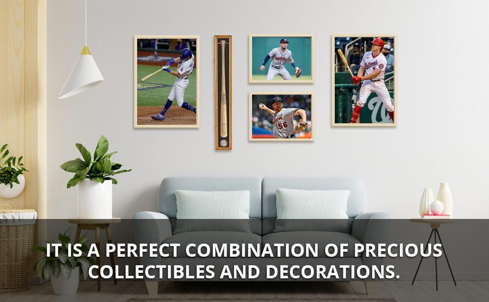 Baseball Bat Display Case