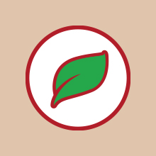 crocchette cane; cibo per cane; mini taglia