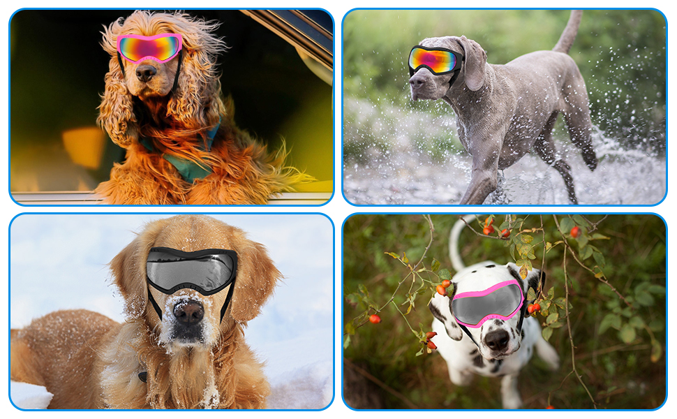 Suitable for All Face Types - For Medium, Large Dog