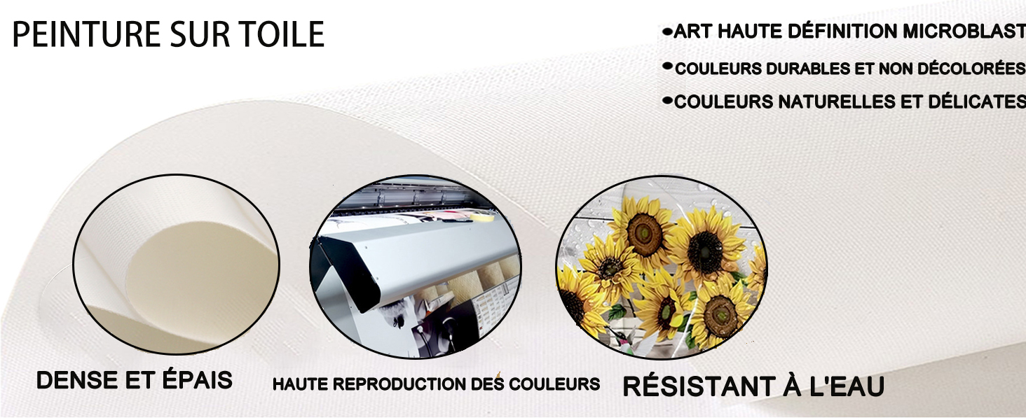 Affiche d'anatomie médicale,