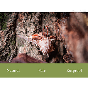 Cork Tile Terrarium Background