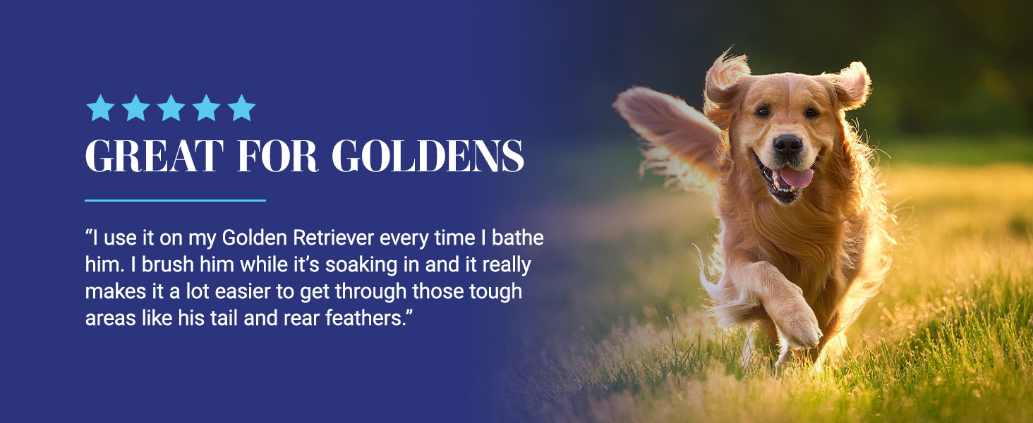 Review of Chris Christensen Ice on Ice Dog Detangling Conditioner - Great for Golden Retrievers!