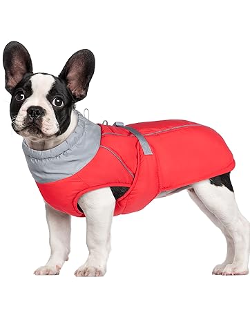 Dog Winter Coat