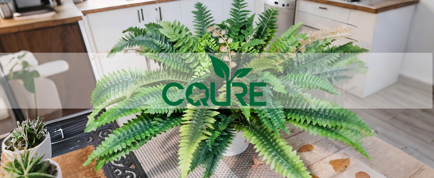 fake ferns