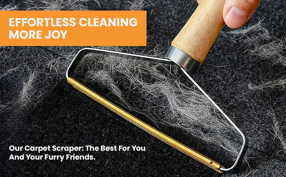 Blue Iris Pro Lint Remover Carpet Scraper Tool Pack of 2 Double