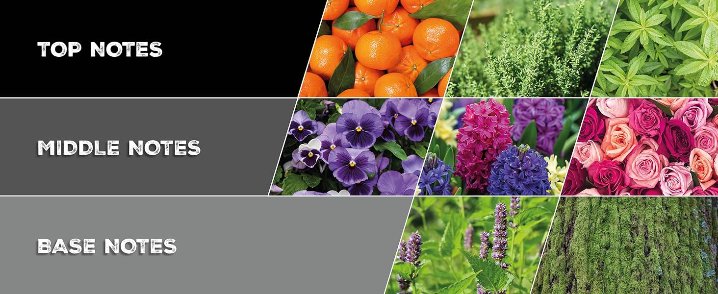 Large manufacture image 5