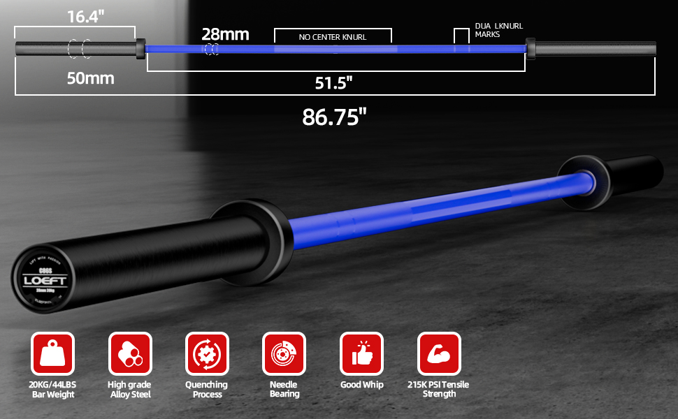 barbell