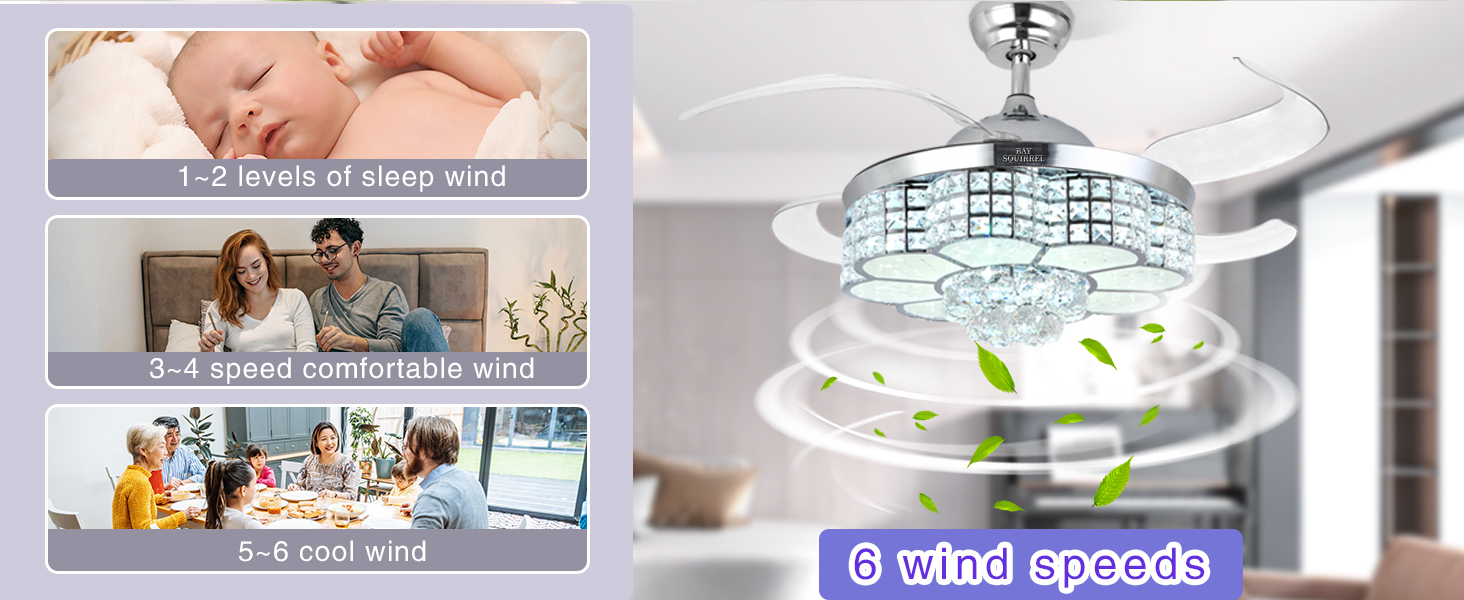 6 Speeds Reversible Blades