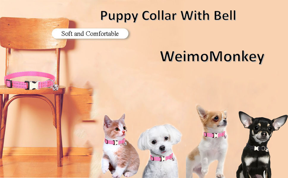 Pink Puppy Collar with Bell, Metal Buckle & Reflective Cat