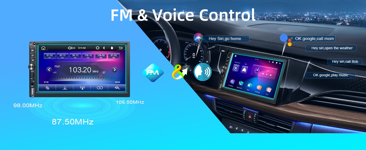 FM&Voice control