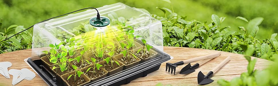 seed starter tray