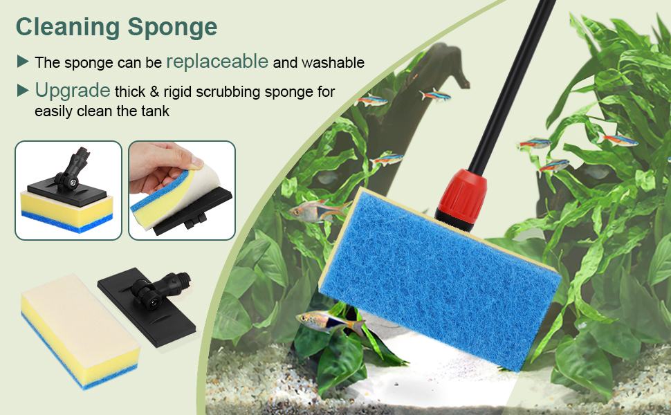 fish tank algae scraper